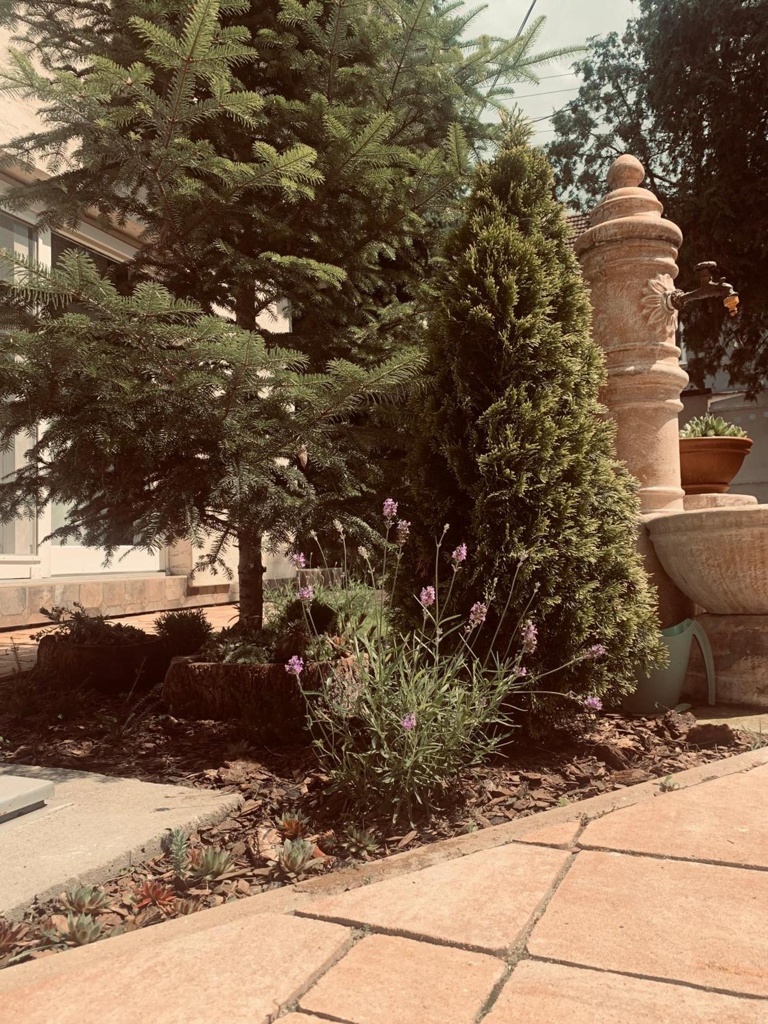 Appartamento La Casa Tamaris Senta Esterno foto